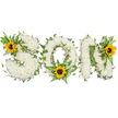 A heartfelt, gallery-style floral tribute spells out the word SON in strong capital letters, each letter built from a dense cloud of small, pristine white chrysanthemums that give the piece a soft, pillowy texture. The chrysanthemums are densely layered so you can almost feel their velvety petals beneath the fingertips; faint herbal and honeyed notes of fresh chrysanthemums seem to hover in the cool studio light. Dark green ivy vines are gently woven through and around each letter, their glossy leaves and winding stems adding a sense of continuity and quiet resilience. Lush fern fronds and various pointed leafy sprigs nestle between the chrysanthemums to create subtle depth and a living contrast against the white. A trio of bright yellow sunflowers-large, open faces with golden petals and deep, textured brown centres-are placed as warm focal points: one at the upper left curve of the S, one settled into the lower centre of the O, and the third perched on the upper right of the N. The sunflowers lift the composition with an unexpected cheer, their sturdy, rough-centred disks offering a tactile counterpoint to the soft chrysanthemums and trailing ivy. Photographed against a clean white background, every shadow and edge is clear, the arrangement read as both three-dimensional and calm. This floral letter tribute reads as an intimate memorial for a beloved son, combining classic white condolence blooms with welcoming yellow accents and evergreen greenery to speak of grief, memory, and a steady thread of hope. It is the kind of piece a local florist might create for a funeral or celebration of life, intended to comfort and to honour with dignity.