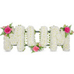 A graceful MUM floral tribute is displayed horizontally across the frame, each capital letter carefully formed and resting on a slim dark green base that just peeks out beneath the flowers. The entire word is built from countless small white spray chrysanthemums, packed so densely that the letters appear as smooth, plush blocks of white. The blooms look freshly opened, their delicate petals overlapping in soft layers that create a gentle, cushion-like feel, as though the word itself were wrapped in comfort. The composition is set against a bright white background, which highlights the purity of the chrysanthemums and the crisp outline of the lettering. To bring colour and emotion into the design, three coordinated floral clusters are positioned with careful symmetry. On the upper left of the first M, a fuchsia rose blooms fully, surrounded by pale pink spray roses and buds that add tenderness and nuance. Light, feathery fern foliage stretches outward from this cluster, its fine, serrated leaves introducing a hint of woodland greenery. Another cluster is nestled at the bottom centre of the U, drawing the eye gently inward, and a third sits on the upper right of the second M, providing a harmonious finish. This interplay of pure white, vivid fuchsia, gentle pink, and fresh green gives the tribute a soothing yet expressive character. It feels like a loving, final gift, ideal for families in Brent Cross arranging funeral flowers to celebrate and remember a devoted mother, offering a quiet statement of appreciation, gratitude, and lasting affection in the language of blooms.
