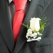 A tightly framed, close-up photograph focuses on a groom's charcoal grey suit jacket, capturing the boutonniere with intimate clarity as if you were standing right beside him outside Brent Cross shopping centre before the ceremony. The fine wool fabric of the suit shows a subtle sheen and precise tailoring, with neat stitching tracing the lapel edge and a discreet welt pocket just beneath. Against this deep, smoky backdrop sits a vibrant, satin-finished red tie, perfectly knotted and centred, its rich colour introducing a confident, celebratory note often seen at smart North West London weddings. Pinned to the left lapel, the boutonniere becomes the star of the composition: a single creamy white rosebud, petals tightly wrapped yet gently curved, suggesting both freshness and anticipation. Around the rose, airy clusters of white baby's breath create a soft, cloudlike halo, each tiny bloom adding a whisper of texture. Slender green foliage fans out behind, some blades fine and feathery, others broader and deeper in tone, cradling the flowers with natural grace. A small white satin ribbon is tied into a delicate bow at the base, holding everything neatly together and echoing the crisp shirt's pale tones beneath the jacket. The lighting is gentle and even, highlighting the smoothness of the rose, the weave of the fabric, and the contrast between light and dark. The overall mood is one of quiet sophistication and heartfelt preparation, the kind of thoughtful detail chosen for a wedding at a local Brent Cross venue, where every flower and stitch helps tell the story of the day.
