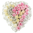 In this image, a generous heart-shaped funeral tribute of roses is shown against a crisp white background, the simplicity of the setting emphasising the richness of the flowers themselves. The heart is clearly split into two balanced halves, yet its message feels beautifully unified. On the left, rows of creamy ivory and soft pale yellow roses are closely nestled together, their smooth, velvety petals unfolding in calm spirals. These gentle tones convey purity, peace, and a sense of calm, like a quiet moment of reflection in one of the green spaces near Brent Cross. On the right, a full complement of medium pink roses mirrors the same density and fullness. Their colour is warm and embracing, suggesting affection, gratitude, and the love that survives loss. Each rose is open and fresh, its petals slightly curled at the edges, giving texture and movement to the design. Interwoven through both the cream and pink sides, and forming a soft frame around the heart, are numerous sprigs of white baby's breath. These tiny, star-like blooms float on fine stems, filling the small spaces and creating a delicate, cloud-like halo that softens the strong outline of the heart. The arrangement appears expertly crafted, with careful attention to symmetry and proportion, as if made specifically for a funeral service or memorial gathering in Brent Cross or the surrounding area. You can imagine it resting atop a casket, beside a framed photograph, or at the front of a chapel, quietly sharing a message of remembrance and love through its serene colours and thoughtful composition.