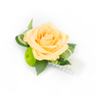 Against a pristine white background, a single, handcrafted corsage or boutonniere is photographed with bright, even lighting that highlights every subtle detail. At its heart sits a fresh peach rose-soft, tightly furled toward the centre and gradually unfurling into layers of pale apricot and champagne tones that catch the light like spun sugar. The rose is set slightly off-centre, creating a natural asymmetry that feels both modern and intimate. Beneath and to the left, a vivid lime-green button chrysanthemum provides a lively, cushiony contrast; its dense, rounded florets add a playful texture against the rose's velvety petals. Deep green ruscus leaves form a strong, glossy foundation, their smooth surfaces and tapered shapes grounding the composition, while elegantly curled variegated foliage-streaked with lighter green stripes-frames the bloom and imparts a refined, architectural flourish. From the lower right of the cluster, a strand of lustrous white faux pearls cascades like a small waterfall, introducing vintage romance and a soft, tactile sheen. The overall impression is one of careful craftsmanship and fresh simplicity, a floral accessory suited to weddings, prom nights, or formal events across Brent Cross and nearby neighbourhoods such as Cricklewood and Hendon. Imagine this pinned to a lapel for a church ceremony near Brent Cross Shopping Centre or tucked into a corset dress for a reception photographed in local venues; its gentle scent of sweet rose and green foliage, its varied textures, and its luminous palette make it a quiet statement of elegance and celebration. The arrangement reads as both timeless and contemporary, skillfully balanced for comfort, visibility, and style under close studio lighting.