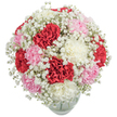A lush, dome-shaped bouquet of densely packed carnations in deep crimson, soft blush pink and creamy white sits centered in a low, rounded clear glass vase against a clean white backdrop. The ruffled, layered petals of each carnation create a tactile, almost sculpted surface-rich velvet-like reds alternate with gentle, pastel pinks and pristine whites to form a balanced tri-colour harmony. Scattered throughout like a fine mist, tiny white Baby's Breath (Gypsophila) lends an airy, cloudlike texture that softens the composition and brightens the palette, its minute blooms catching the light between the larger heads. The arrangement fills the frame with generous volume yet reads as intimate and approachable, the floral shapes curving into a pleasing dome that suggests careful hand-placing and traditional craftsmanship. Subtle shadows on the white background emphasize the bloom layers and the clean glass rim just visible at the base, hinting at water and freshness inside. There is a faint, spicy sweetness to the imagined scent-a classic carnation perfume-blending with the delicate, powdery note of gypsophila to evoke warmth and celebration. This bouquet reads as timeless and versatile, suited to anniversaries, birthdays, Mothering Sunday, or simply to lift an interior with gentle colour and refined texture. As a local arrangement often chosen in Brent Cross, it carries the quiet confidence of well-made floristry: straightforward materials arranged with an eye for balance, comfort and enduring beauty, offering a sincere, uncomplicated message of affection or thanks.