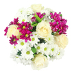 The photograph shows a carefully composed, round bouquet taken from a bird's-eye view, with every bloom outlined against a pure white background that heightens the sense of clarity and freshness. Cream-white roses act as the principal stars, spaced throughout the arrangement so that their spiralling, velvety petals draw the eye again and again. They radiate a sense of calm sophistication, like a quiet corner café tucked away near Brent Cross where you can pause from the day. Nestled around and between these roses, white, daisy-style chrysanthemums form a dense, textured layer. Their crisp petals fan neatly around bright yellow-green centres, introducing a lively, almost sparkling effect that keeps the bouquet light and joyful. Threaded delicately through this white and cream palette, rich fuchsia and magenta spray chrysanthemums provide dynamic accents of colour. These smaller, multi-headed stems include both full blooms and closed buds, giving the arrangement a sense of movement and ongoing life, as if it will continue to open and evolve on a dining table in a home near Hendon or Cricklewood. Slender glimpses of deep green foliage peek out at the edges of the blossoms, offering a grounding contrast and reinforcing the impression of freshly arranged stems. The overall feeling is one of balanced contrast and gentle celebration, suitable for many occasions-from a birthday surprise to a simple thinking of you gesture delivered around Brent Cross. The bouquet's mix of serene neutrals and lively magentas creates an atmosphere that is both soothing and uplifting, ideal for brightening everyday moments as well as marking small yet meaningful milestones.