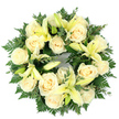A quiet, circular sympathy wreath captured from above, woven from creamy ivory roses and soft, pale yellow lilies resting on a bed of deep, varied greens. The roses-about a dozen to a dozen and a half-sit fully opened with tightly spiraled petals that curve inward like small, luminous shells; their pale cream tone reads almost warm against the cool green. Interspersed among them, trumpet-shaped lilies in a tender lemon-yellow unfurl in graceful arcs, some fully open to reveal their subtle stamens, others still in bud form to add gentle height and promise of future bloom. The greens are layered and textured: feathery fern fronds lend a delicate, lacy edge, while rounded, silvery-green sprigs-suggestive of eucalyptus-provide depth and a soft scent that lifts the composition. Viewed flat on a white background, the wreath's perfect circle feels both composed and comforting, a visual embrace that speaks of continuity and remembrance. Soft daylight highlights the petal surfaces and casts minimal shadows, letting the cream and pale yellow glow with restrained dignity. The overall effect is one of serene craftsmanship-balanced, densely packed, and quietly luxurious-intended for a funeral service, graveside tribute, or to express heartfelt condolence. Sensory notes of powdery rose sweetness and a faint, green citrus lift from the lilies complete the experience, offering a calm presence that comforts those gathering to remember a cherished life.